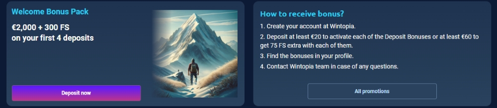 Wintopia Casino Bonuses